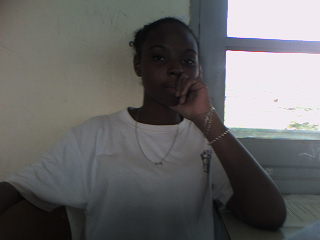 bambi BAMBI bambi BAMBI